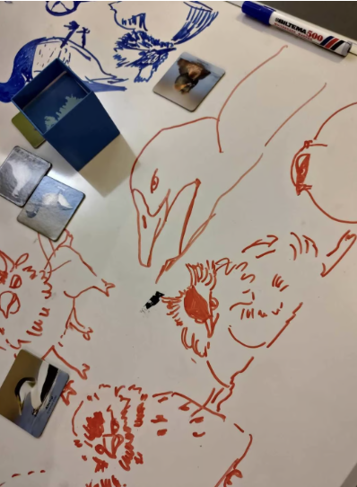 Bird sketches on a whiteboard