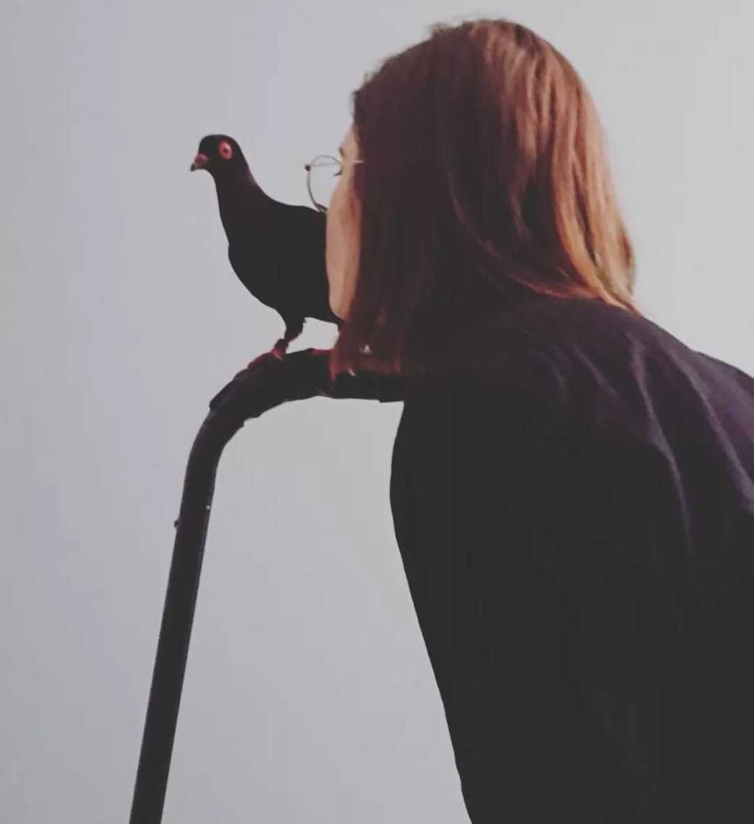 Rescued pigeon on my shoulder